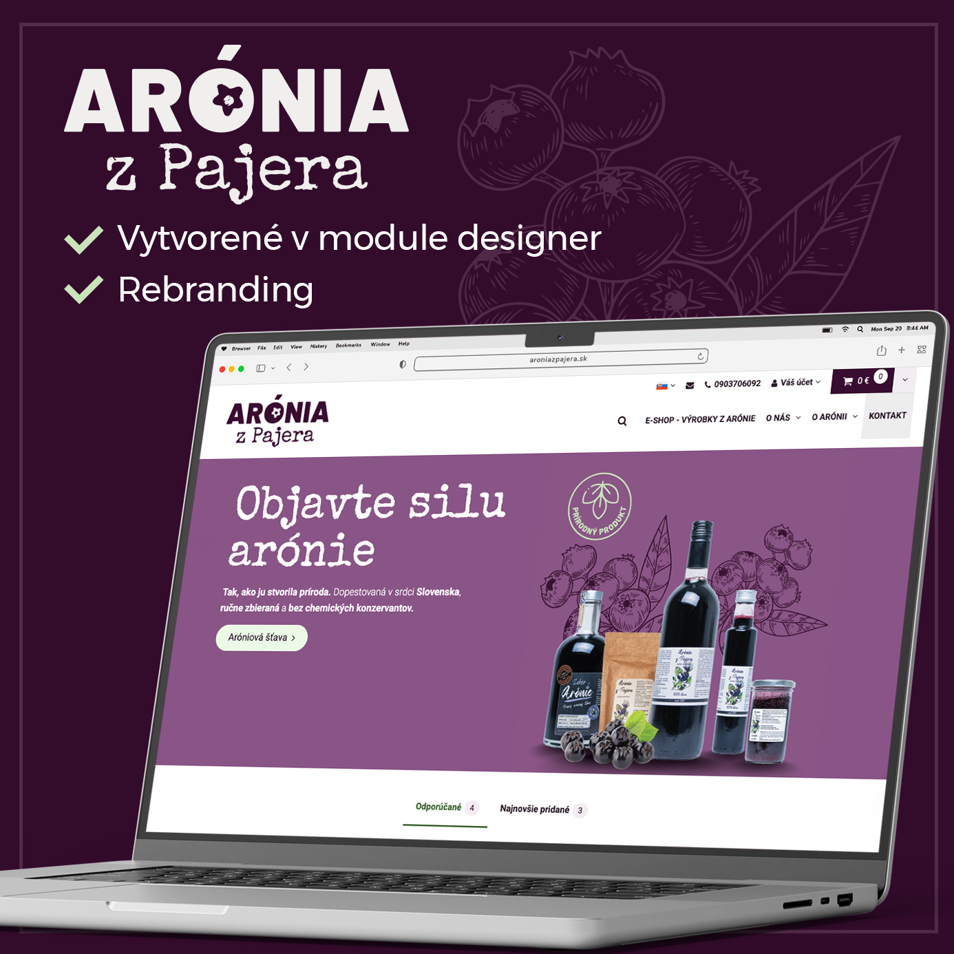 artexe